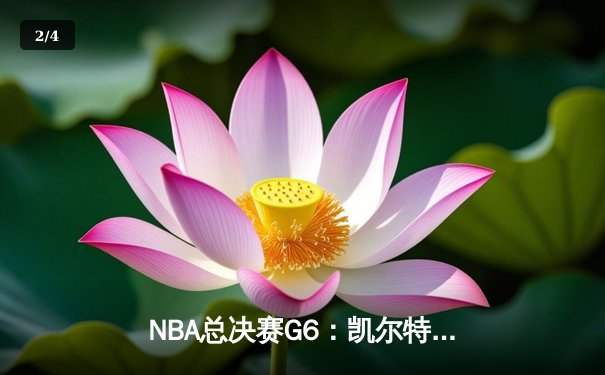 NBA总决赛G6：凯尔特人击败独行侠，时隔16年再夺总冠军 - 2